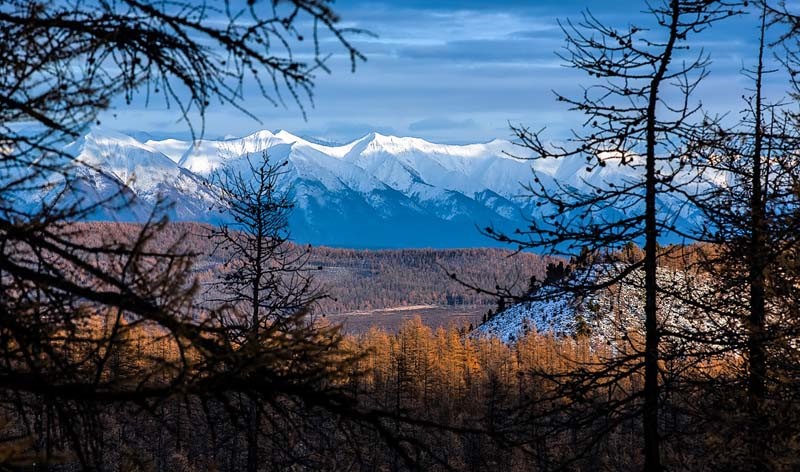mongolia taiga mountains 